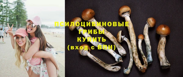 круглые Гусиноозёрск